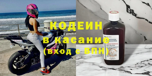 хмурый Арсеньев