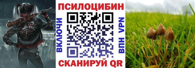 Псилоцибиновые грибы Psilocybine cubensis  продажа наркотиков  Каргополь 